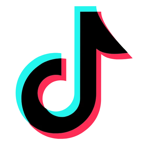 TikTok Icon