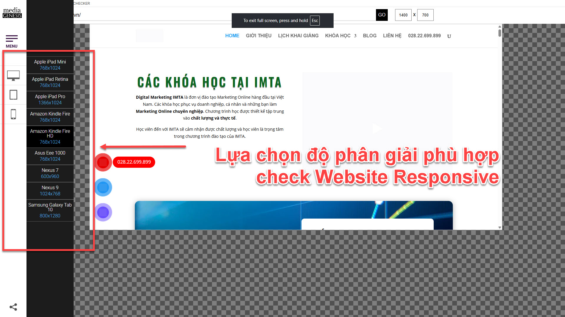 Lựa chọn kích thước tỷ lệ phù hợp để check website có Responsive không